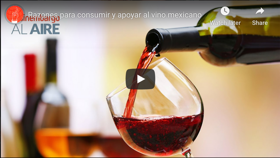 Razones para consumir y apoyar al vino mexicano